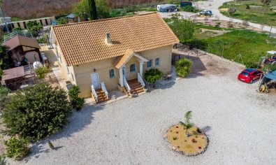 Resale - Finca -
Crevillente