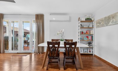 Resale - Finca -
Crevillente