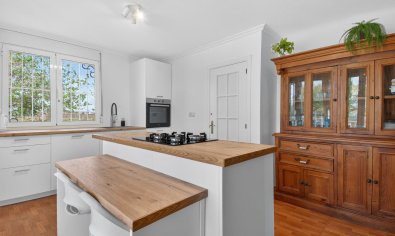 Resale - Finca -
Crevillente