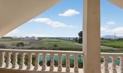 Resale - Finca -
Crevillente