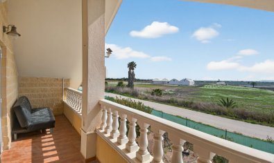 Resale - Finca -
Crevillente