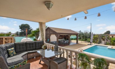 Resale - Finca -
Crevillente