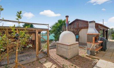 Resale - Finca -
Crevillente