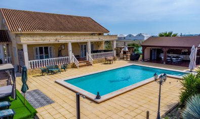 Resale - Finca -
Crevillente