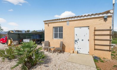 Resale - Finca -
Crevillente