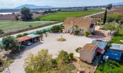 Resale - Finca -
Crevillente