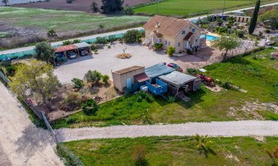 Resale - Finca -
Crevillente