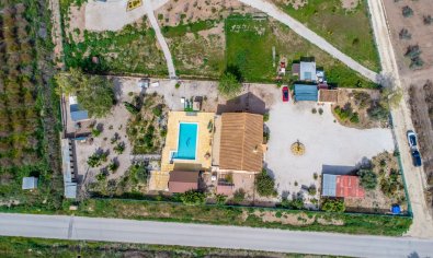 Resale - Finca -
Crevillente