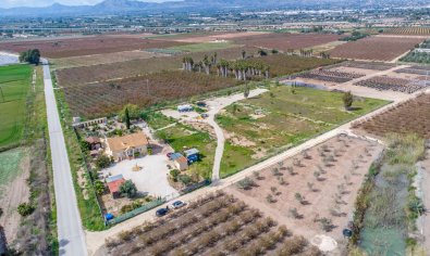 Resale - Finca -
Crevillente