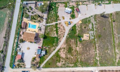 Resale - Finca -
Crevillente