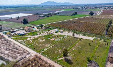 Resale - Finca -
Crevillente