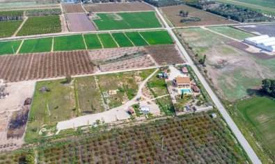 Resale - Finca -
Crevillente