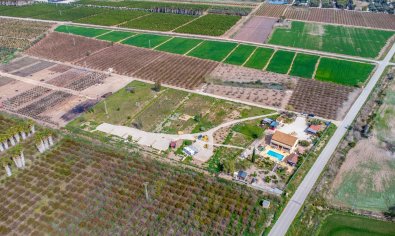 Resale - Finca -
Crevillente