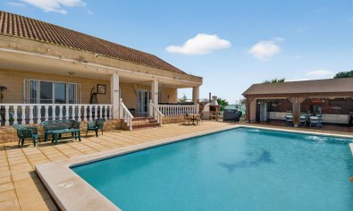 Resale - Finca -
Crevillente