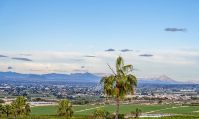 Moderne villa met privézwembad, uitzicht & luxe afwerking in Algorfa, Alicante