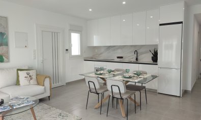 Obra nueva - Villa -
Balsicas