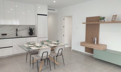 Obra nueva - Villa -
Balsicas