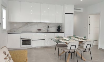 Obra nueva - Villa -
Balsicas