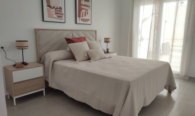 Obra nueva - Villa -
Balsicas