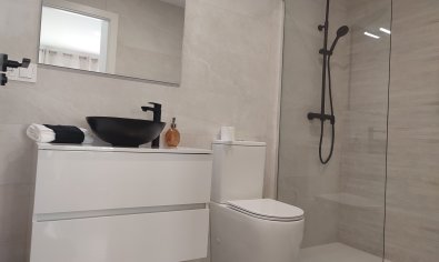 Obra nueva - Villa -
Balsicas