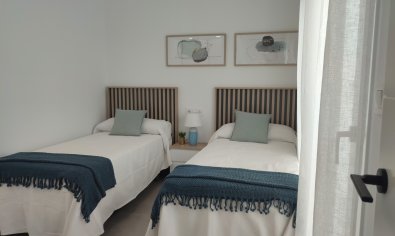 Obra nueva - Villa -
Balsicas