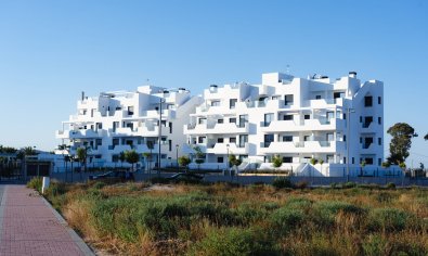 Obra nueva - Piso - Planta baja -
Santa Rosalía