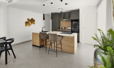 Obra nueva - Villa -
Baños y Mendigo