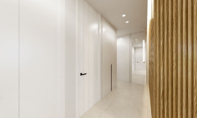 New Build - Penthouse -
Santa Rosalía