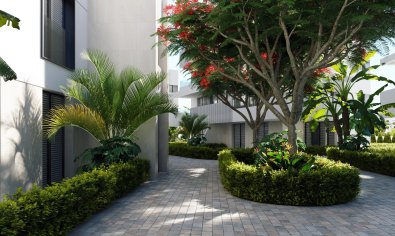 Obra nueva - Piso - Planta baja -
Santa Rosalía