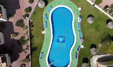 Bestaande bouw - Appartement -
Campoamor R-5