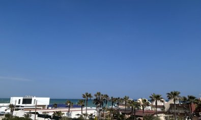 Reventa - Villa -
La Mata