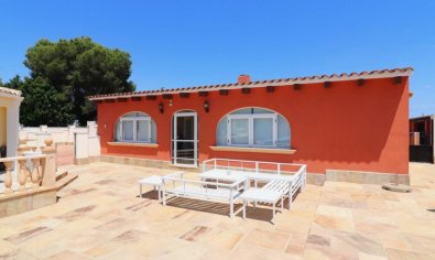 Villa rural en Almoradí con piscina privada, 6 dormitorios e instalaciones para caballos