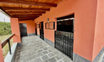 Villa rural en Almoradí con piscina privada, 6 dormitorios e instalaciones para caballos