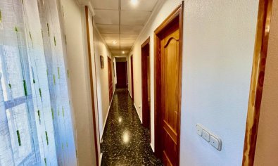 Charmante landelijke finca met 3 slaapkamers en panoramisch uitzicht nabij Orihuela