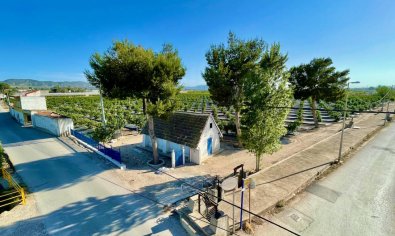 Charmante landelijke finca met 3 slaapkamers en panoramisch uitzicht nabij Orihuela
