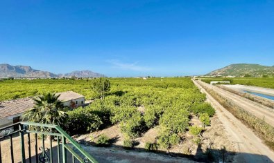Charmante landelijke finca met 3 slaapkamers en panoramisch uitzicht nabij Orihuela