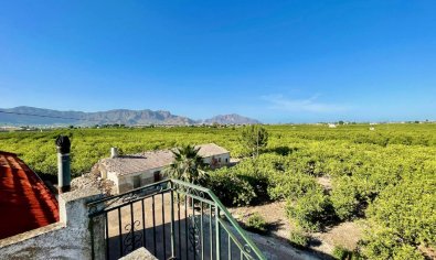 Charmante landelijke finca met 3 slaapkamers en panoramisch uitzicht nabij Orihuela