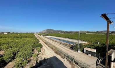 Charmante landelijke finca met 3 slaapkamers en panoramisch uitzicht nabij Orihuela