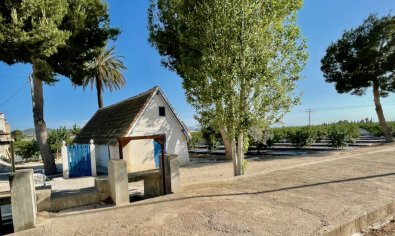Charmante landelijke finca met 3 slaapkamers en panoramisch uitzicht nabij Orihuela