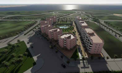 Obra nueva - Apartamento / piso -
Guardamar del Segura - Guardamar Del Segura