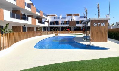 Nuevo Complejo Residencial en Pilar de la Horadada