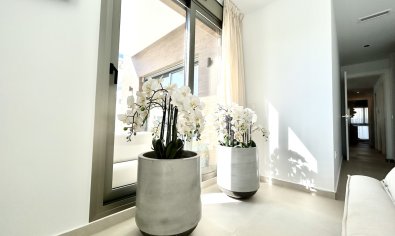 Moderne energiezuinige villa met privézwembad en dakterras in San Miguel de Salinas