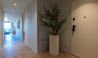 Nieuwbouw Woningen - Appartement -
Guardamar del Segura - Guardamar Del Segura