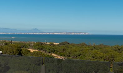 New Build - Apartment -
Guardamar del Segura - Guardamar Del Segura