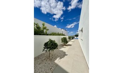 New Build - Villa -
Benijofar