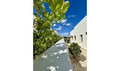 New Build - Villa -
Benijofar