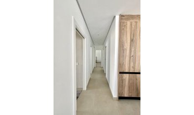 New Build - Villa -
Benijofar