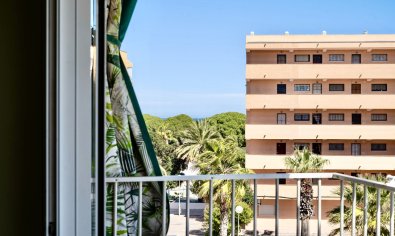 Bestaande bouw - Appartement -
Guardamar del Segura - Guardamar Del Segura