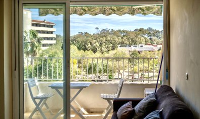 Bestaande bouw - Appartement -
Guardamar del Segura - Guardamar Del Segura