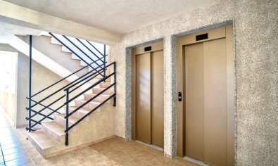 Bestaande bouw - Appartement -
Guardamar del Segura - Guardamar Del Segura
